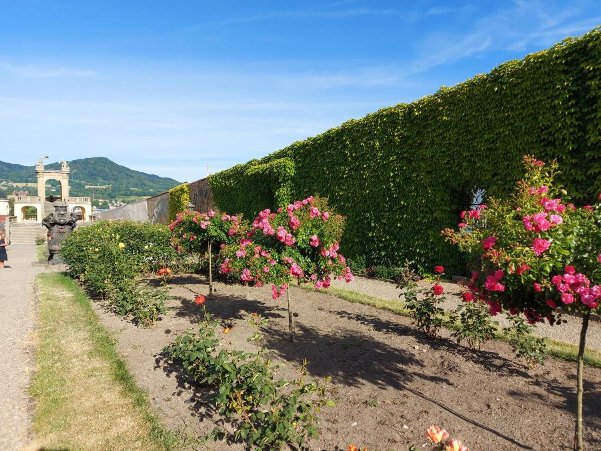 Apartments Rose Garden ديشين المظهر الخارجي الصورة
